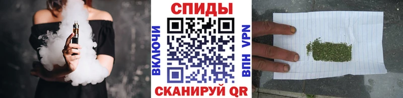 MEGA ONION  Суворов  Бутират буратино 