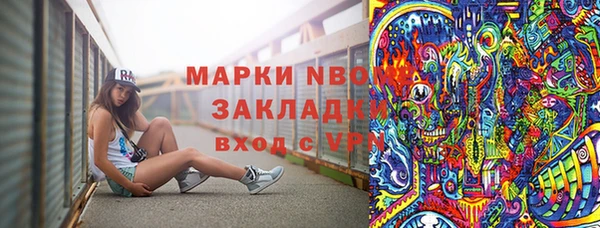 хмурый Верея