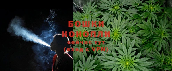 хмурый Верея