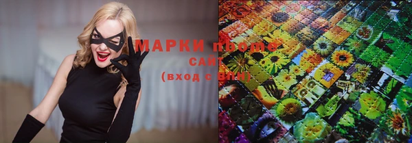 хмурый Верея