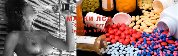 хмурый Верея